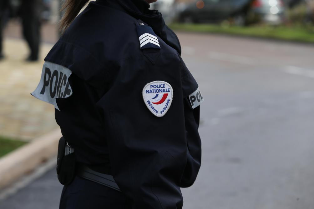 Quatre pieds de cannabis découverts dans un appartement du ...