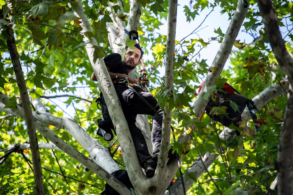 Â«
Je ne suis pas prÃªt Ã  redescendre de cet arbre
Â», a-t-il expliquÃ© samedi Ã  lâAFP.