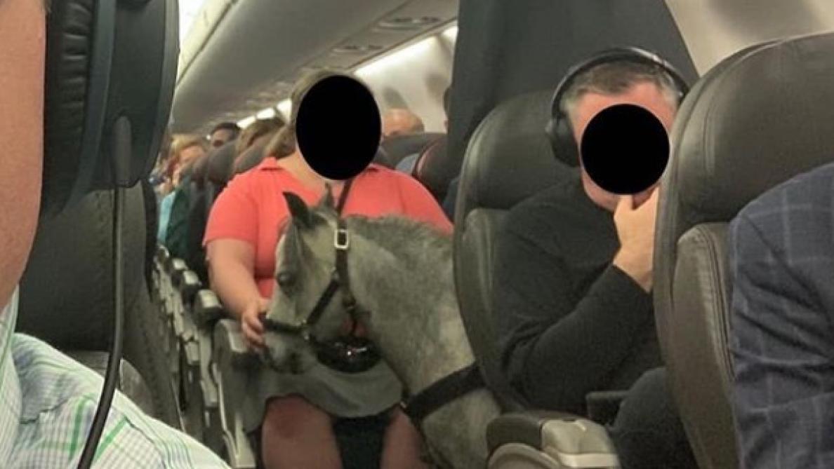 âge pour monter devant