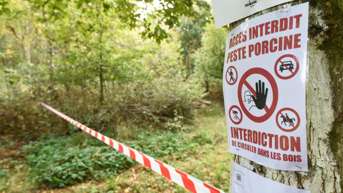 Face à Leur Mauvaise Réputation Les Chasseurs Veulent