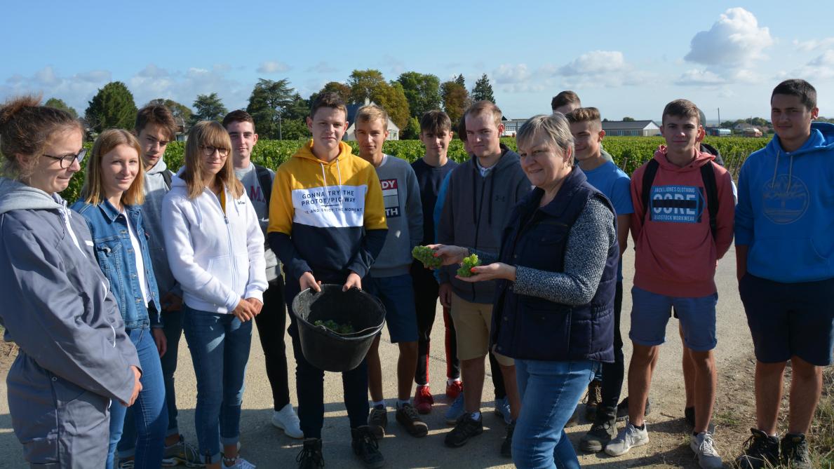 À l’école de la vigne avec Avize Viti Campus  apprendre à lire entre