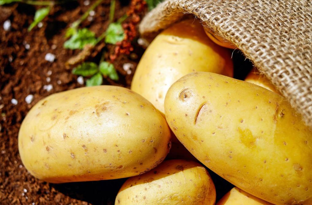Prix Des Pommes De Terre En Tres Forte Hausse La Puree Bientot Un Luxe