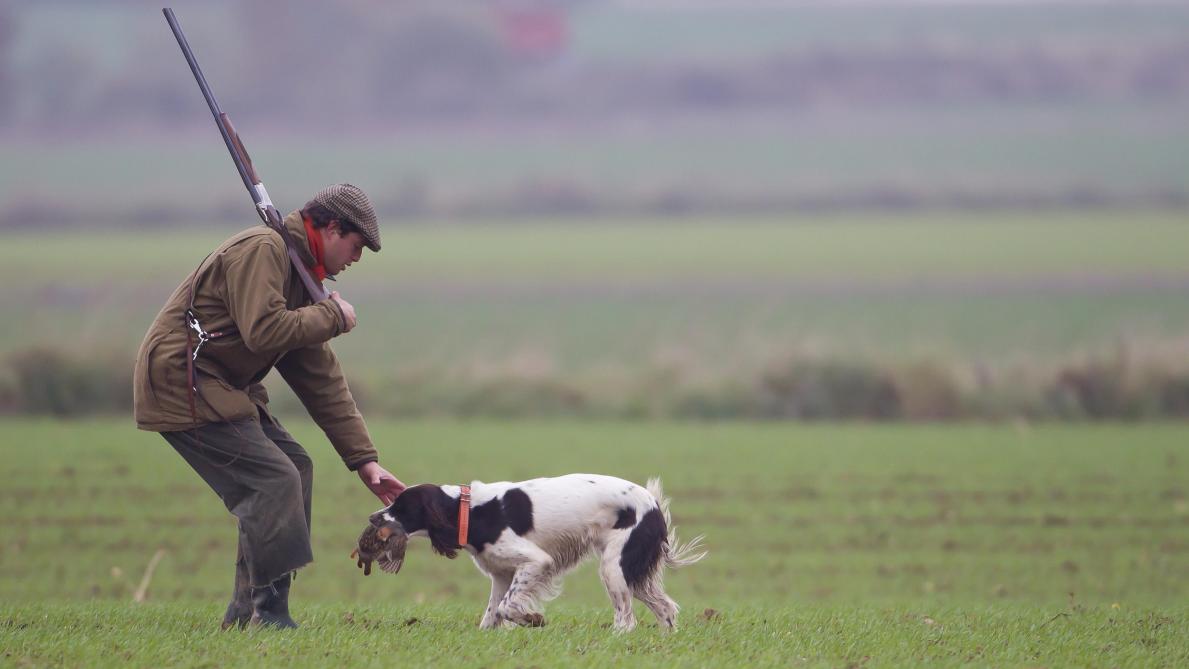 Chasse Dans Laube Cest Une Belle Saison Qui Souvre