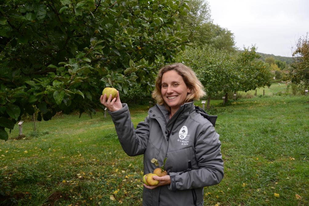 Automne Se Conjugue Avec Fête De La Pomme Au Parc Naturel