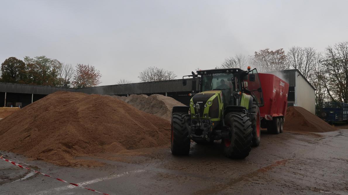Une expérimentation aboutie sur la nourriture des bovins, à Rethel - L’Ardennais