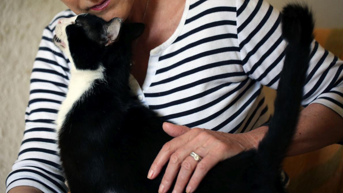 Comment Faire Le Deuil De Son Animal De Compagnie