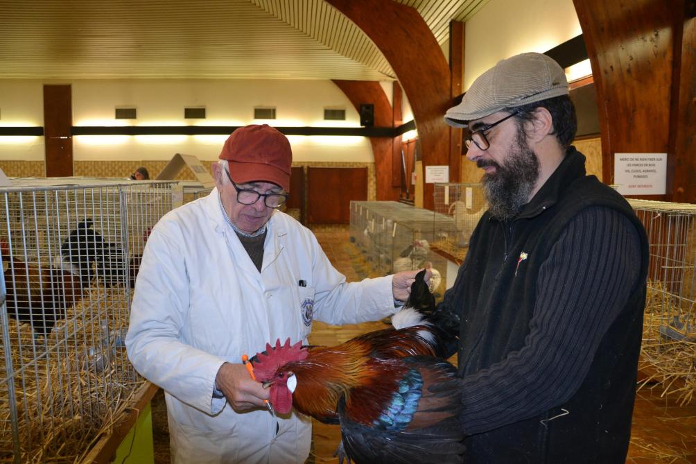 Loisirs : La Bresse-Gauloise a fait sensation à Brienne-le-Château - L'Est Eclair