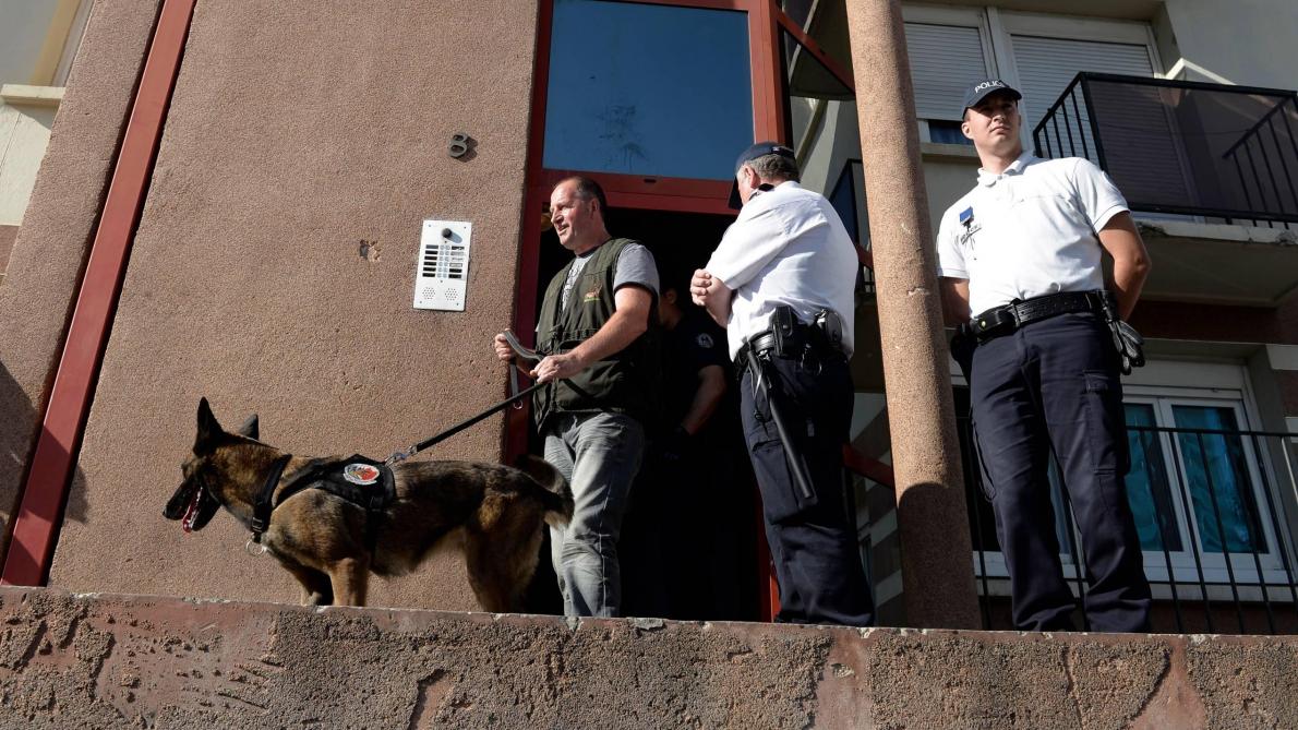 Yvelines Un Chien De Police Decouvre Que La Poussette Ne Transporte Pas De Bebe Mais De La Drogue