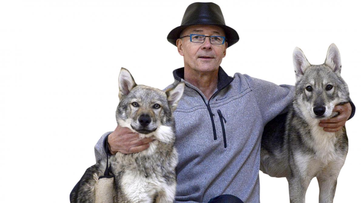 VIDÉO. Spectacle de Luc Petton à Laon : «Animaux et danseurs me montrent le chemin» - L'Union