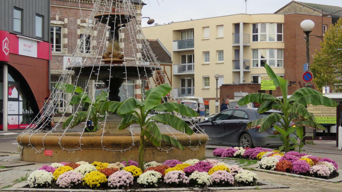 Romilly-sur-Seine : la ville est fleurie pour l'hiver - L'Est Eclair