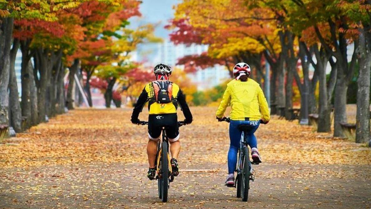 L'appli Geovelo, le Waze du cycliste
