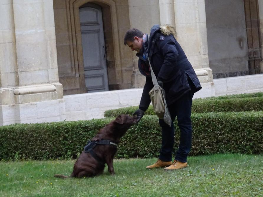Razzia sur les truffes d'automne à Reims - L'Union