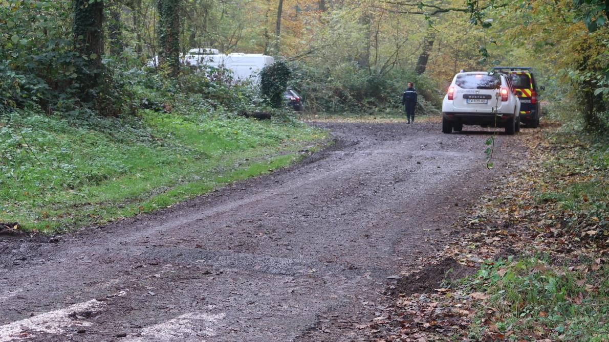 Une femme tuée par un chien entre Soissons et Villers-Cotterêts - L'Union