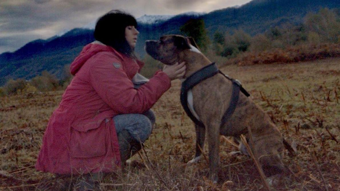 Elisa Pilarski Tuee Par Des Chiens Dans L Aisne Le Drame Reste Un Mystere Deux Mois Apres