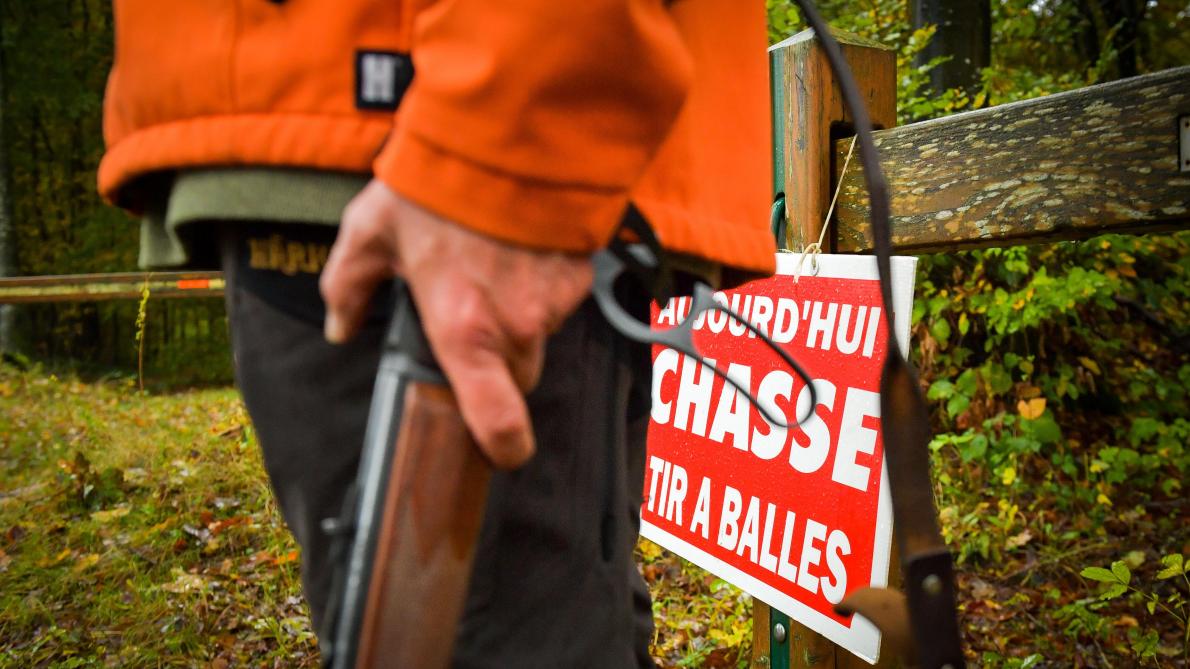 Les accidents de chasse ont déjà fait huit morts, plus que toute la