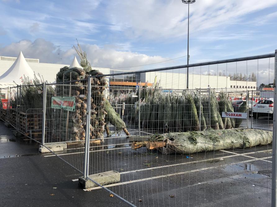 Les Bons Plans Pour Trouver Son Sapin De Noel A Charleville Mezieres