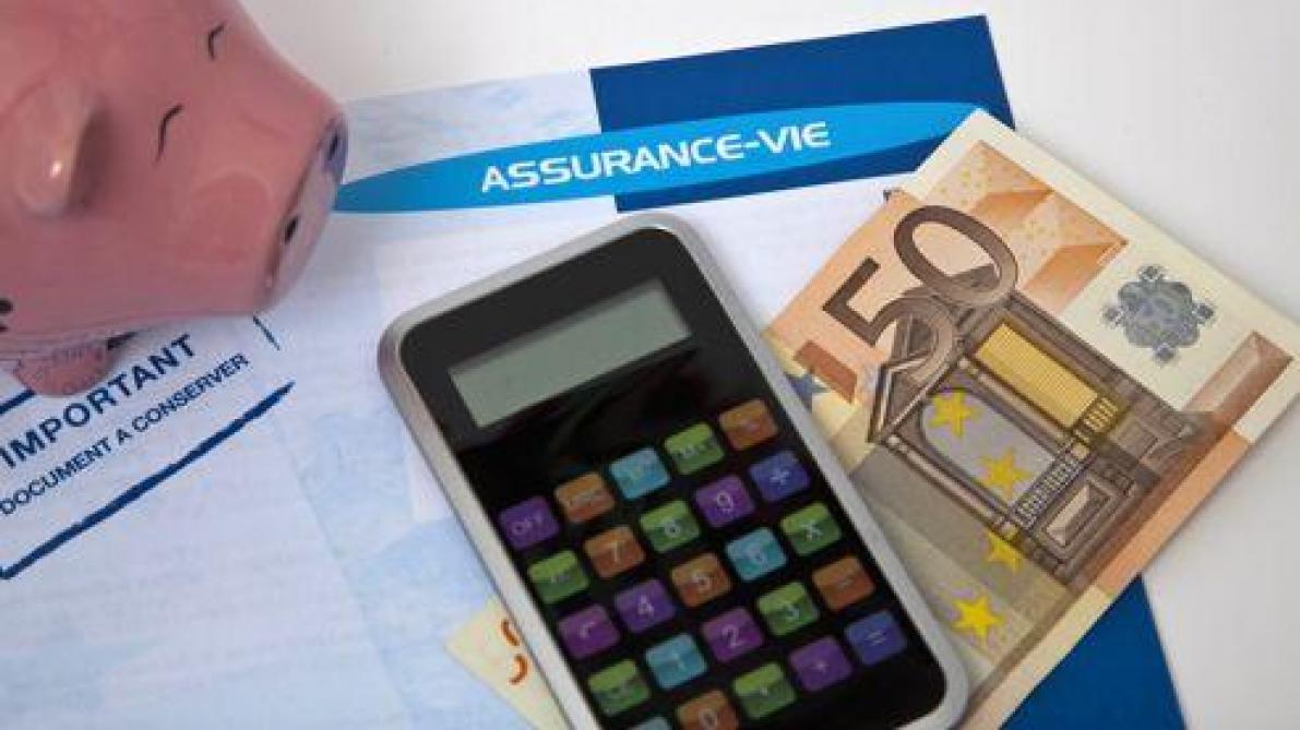 Assurance Vie Pourquoi Certains Fonds Euros Vous Font Perdre