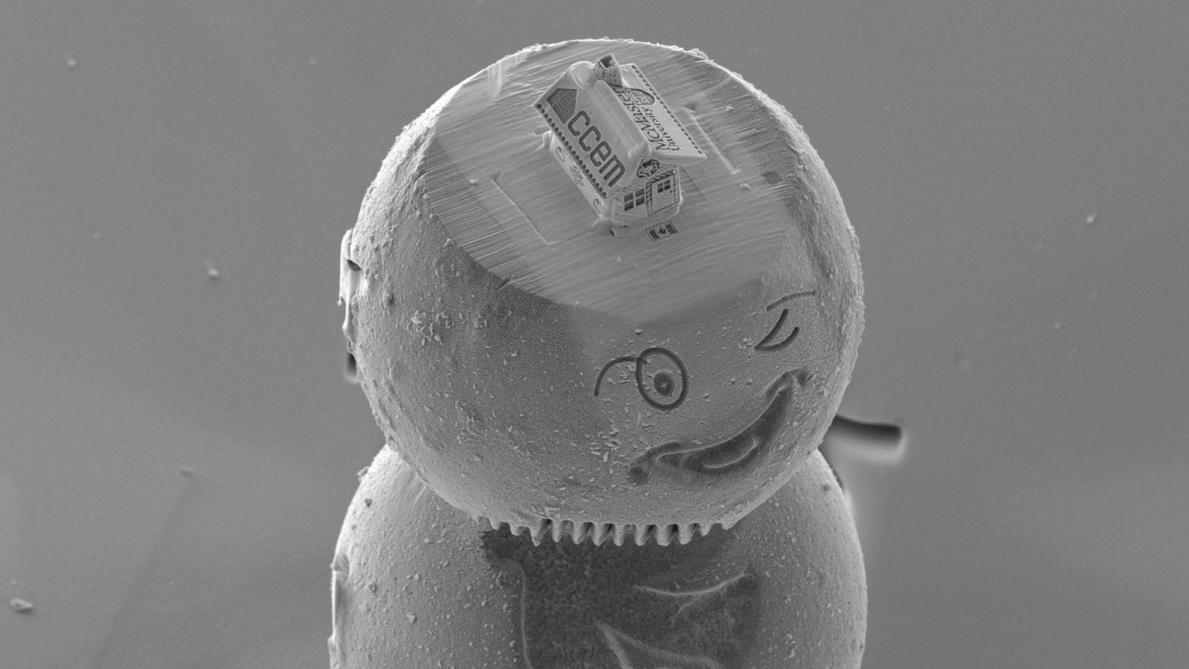 Decouvrez La Plus Petite Maison Du Monde Elle Ne Mesure Que 10 Microns
