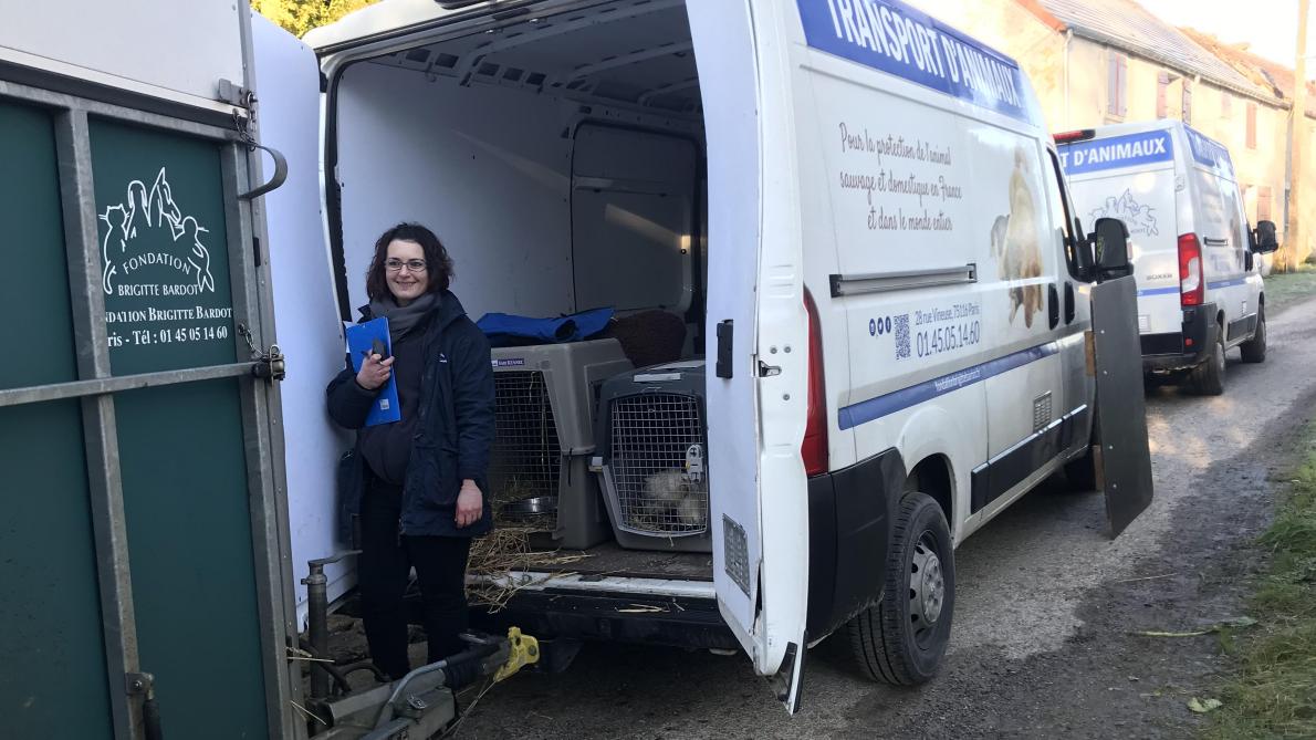 Mission Sauvetage Pour La Fondation Brigitte Bardot Pres De Chateau Thierry