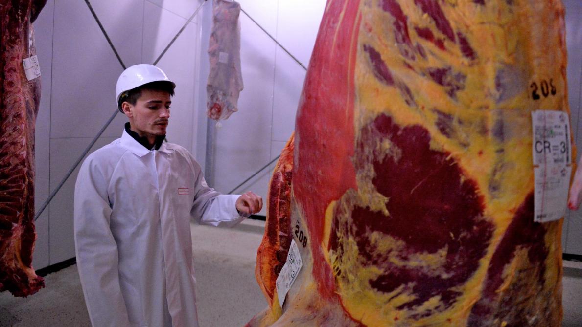 Abattoir De Rethel Place En Redressement Judiciaire Une