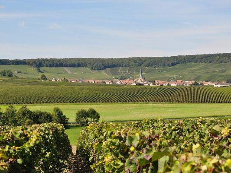 Le Parc De La Montagne De Reims Partenaire D Une Plateforme En Ligne De Formation Gratuite Le Parc De La Montagne De Reims Partenaire D Une Plateforme En Ligne De Formation Gratuite