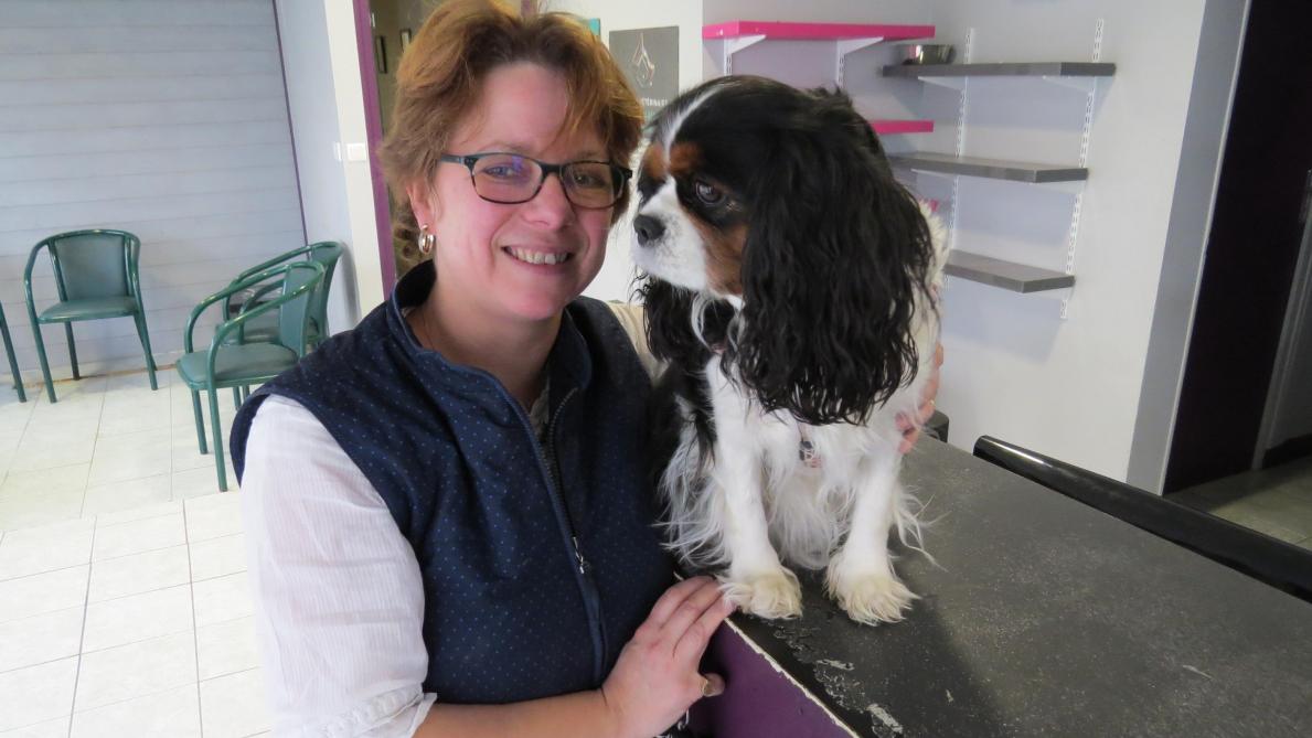 Le Veterinaire Du Centre Ville Quitte Romilly Sur Seine