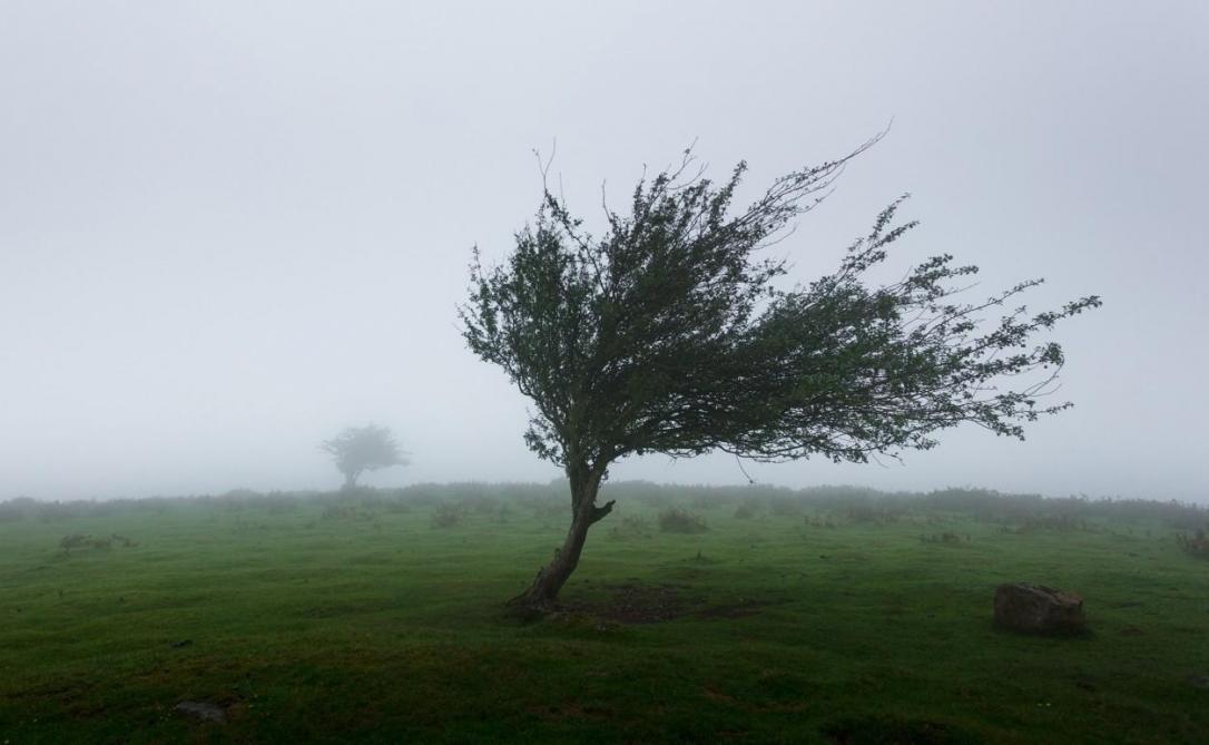 Avis De Tempete Sur Le Nord De La France Des Rafales Jusqu A 140 Km H