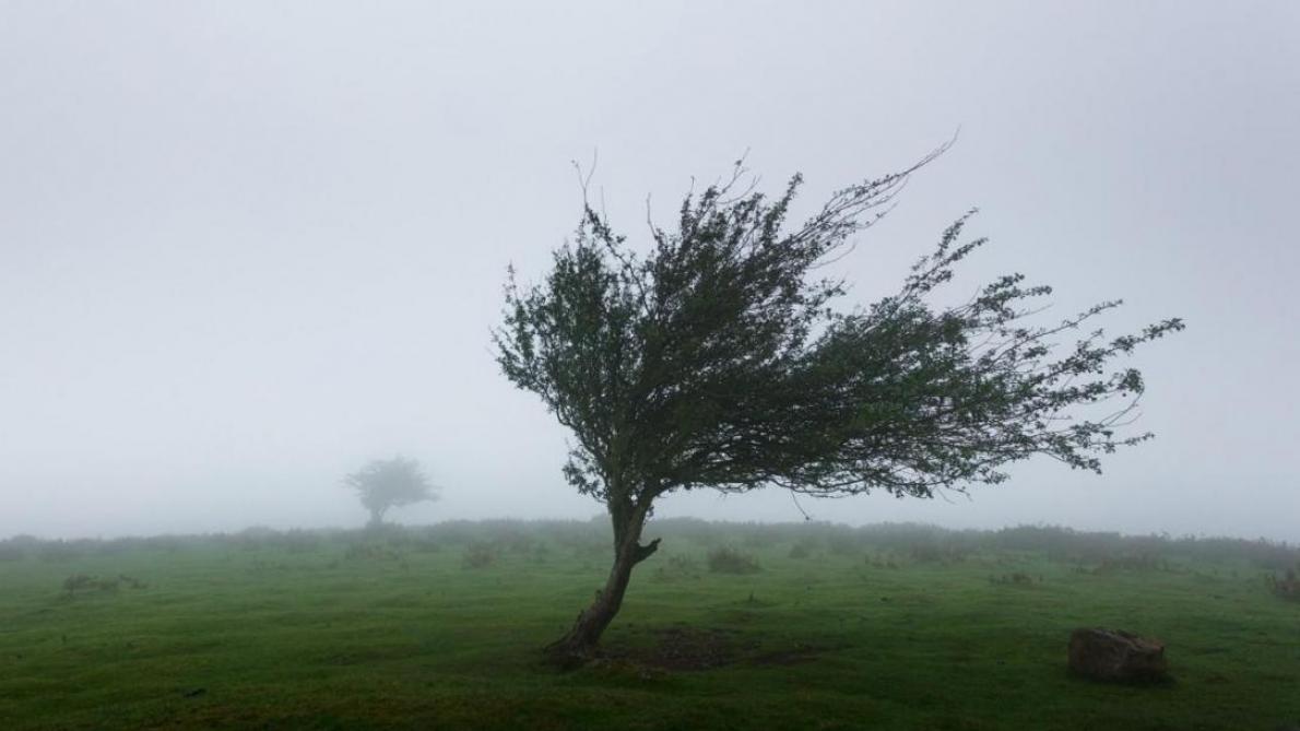 Lorraine : le tempête Ciara va souffler fort Lorraine : le tempête Ciara va souffler fort