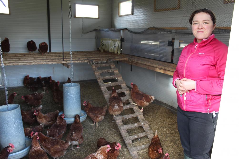 Quatre ans après, lu0027exploitation de poules pondeuses su0027agrandit à 