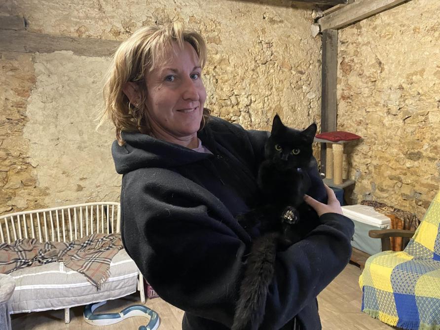 Retrouve A Bethon Ce Chat Abandonne A Besoin De Soins