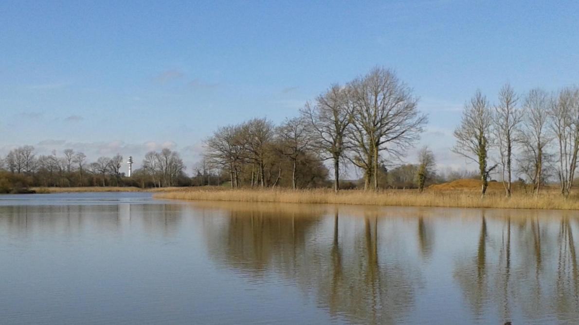 Ouverture De La Peche Sur L Etang D Igny Comblizy