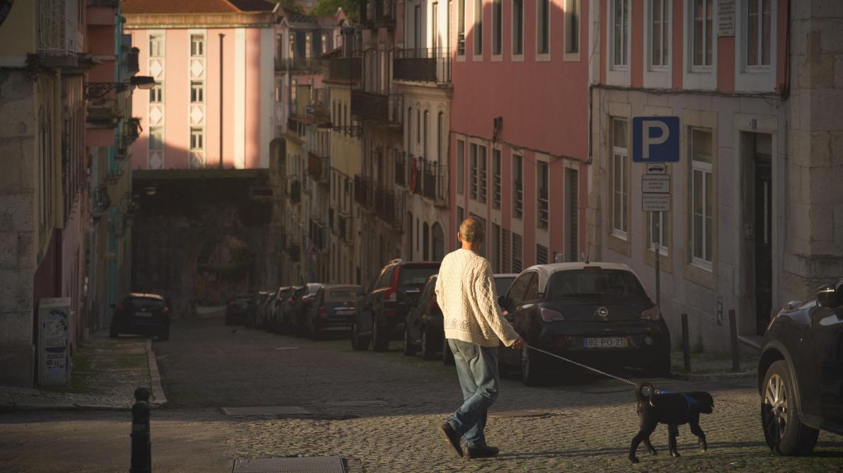 Coronavirus Promener Son Chien Aller Chez Le Veterinaire Nos