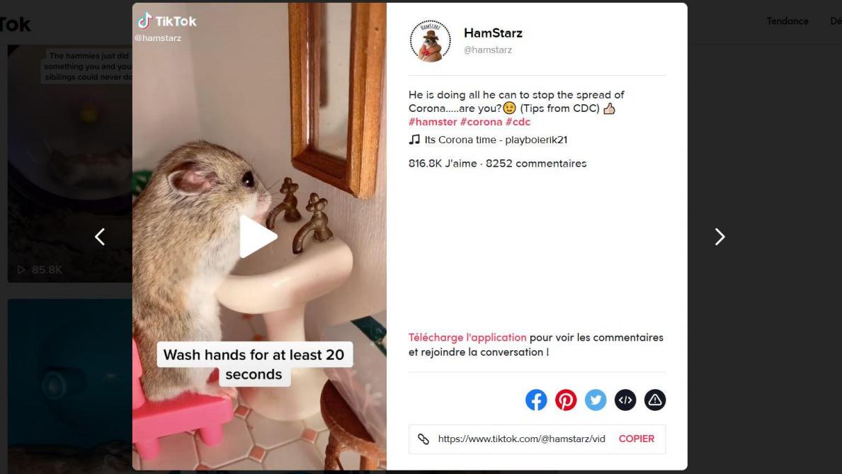 Le Coronavirus Inspire Les Comiques Aux Etats Unis