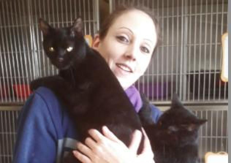 Reims Ormes Le Refuge Des Amis Des Betes Tire La Sonnette D Alarme