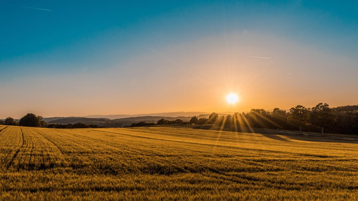 Meteo Grand Soleil Ce Lundi 20 Avril Dans La Marne L Aisne Et Les Ardennes