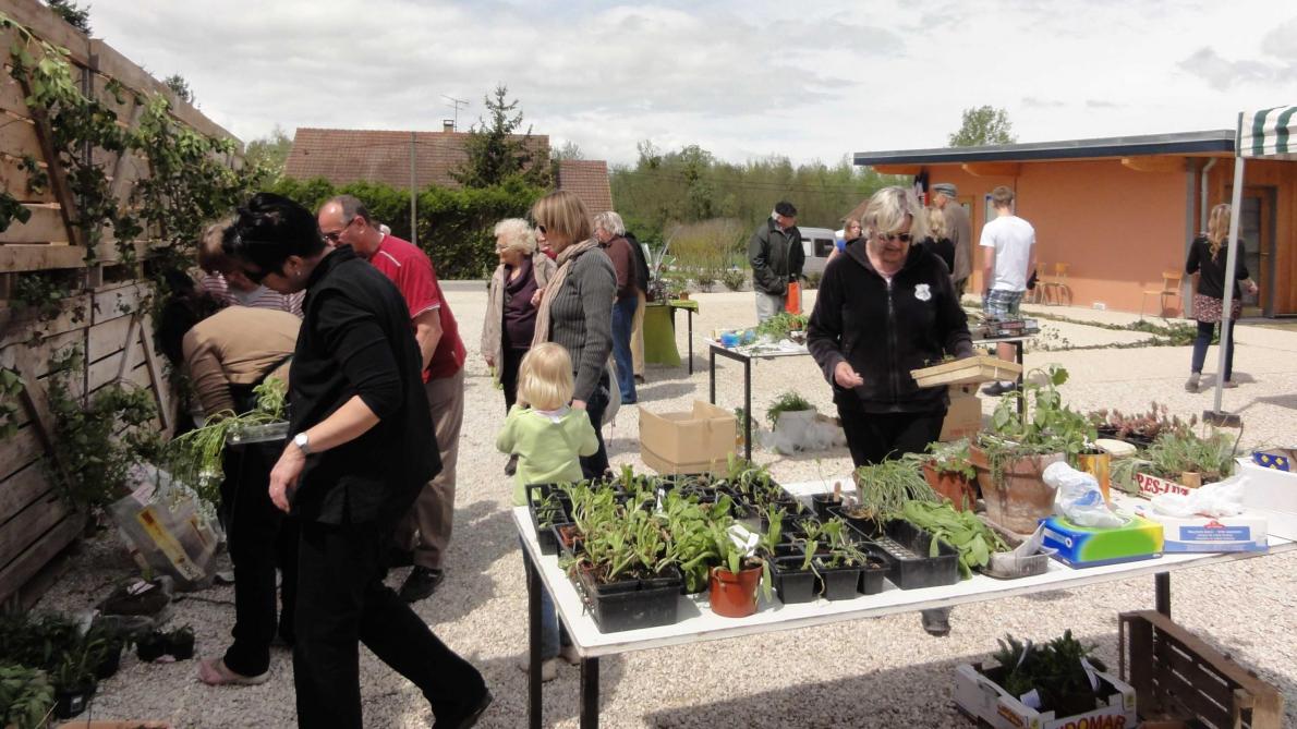 Le Troc Fleurs De Balignicourt Reviendra En 2021 calendrier troc plantes 2021
