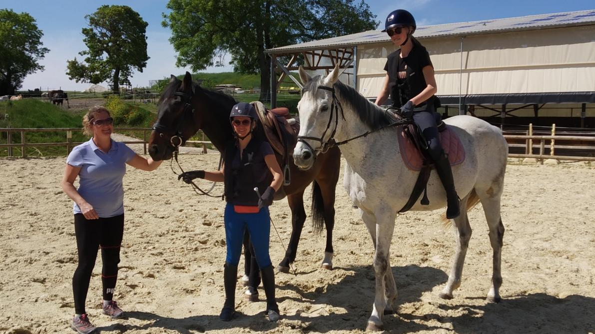 Cheval centre equestre Clearance