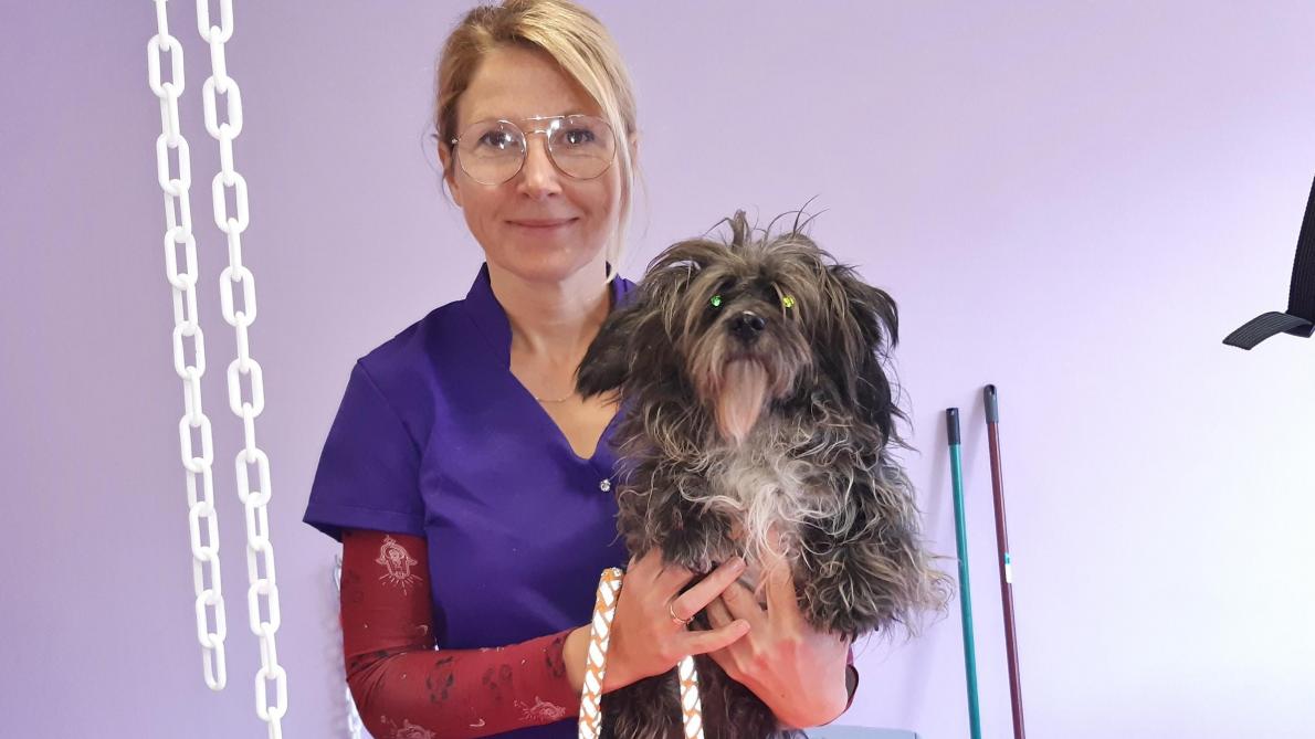 Jolie Truffe Une Nouvelle Enseigne A Arcis Sur Aube