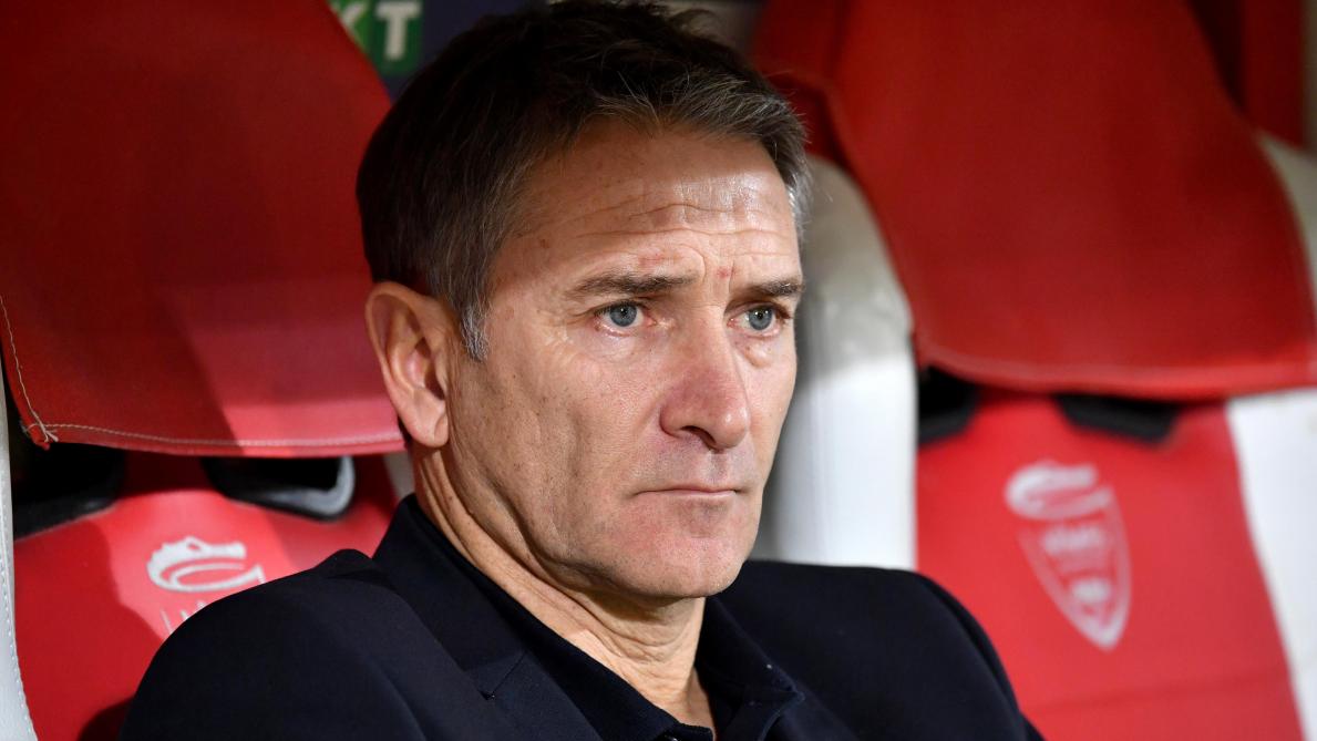 Montanier s'installe sur le banc (Officiel) — Standard de Liège Montanier s'installe sur le banc (Officiel) — Standard de Liège