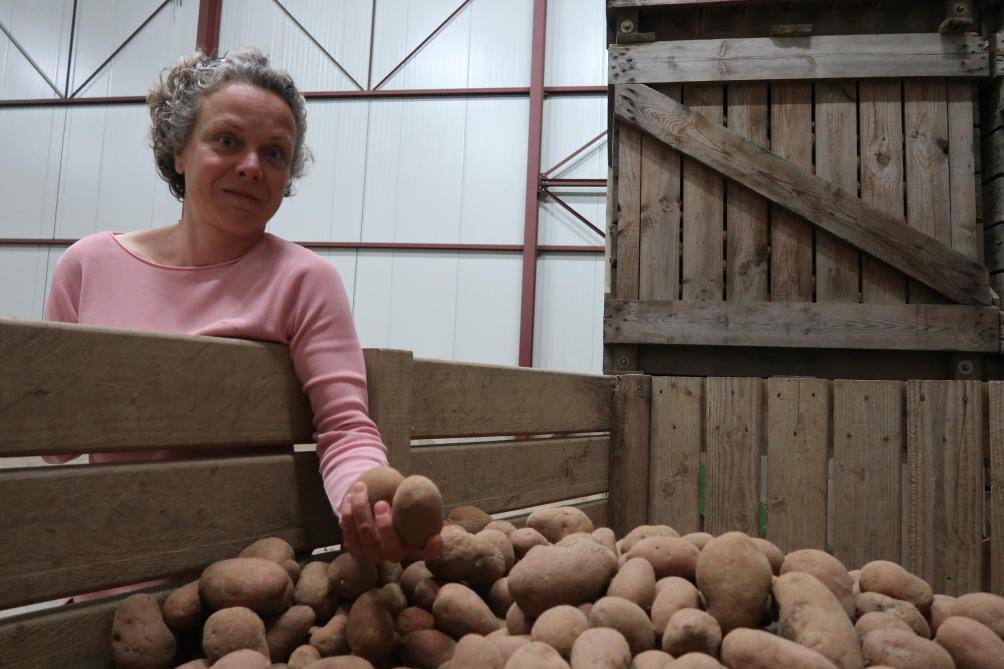 Ce Vendredi Blandine Vend Ses Nicolas Les Pommes De Terre Qu Elle Produit
