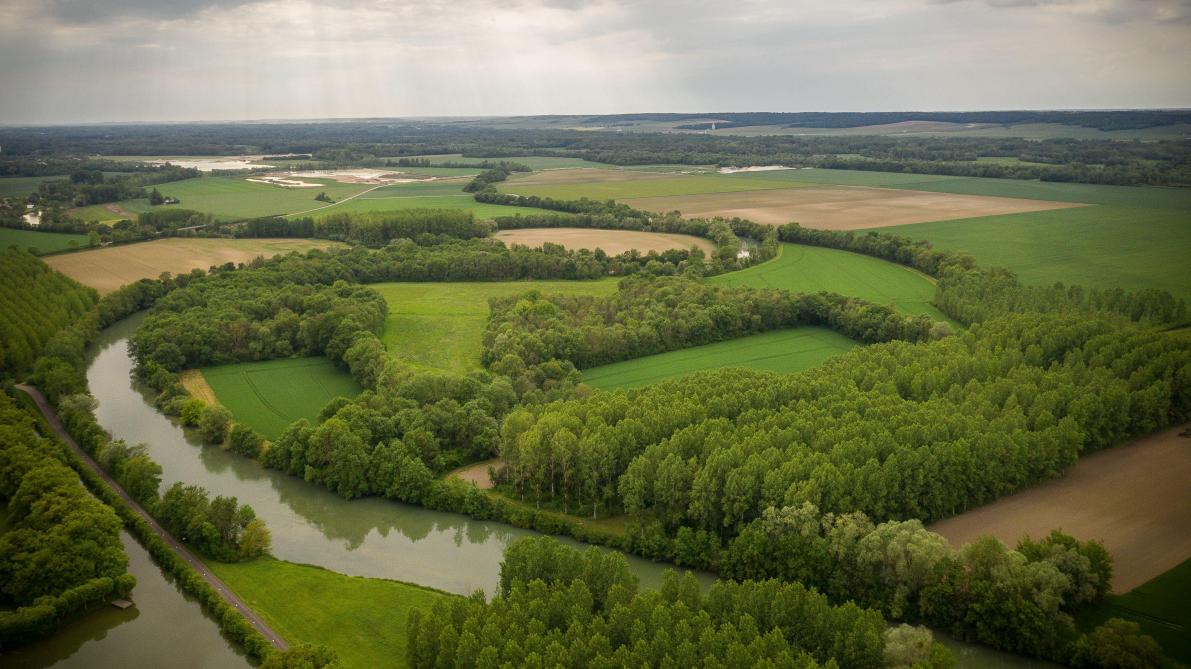 Cinq Idees De Sorties Reelles Ou Virtuelles Pour Occuper Votre Dimanche