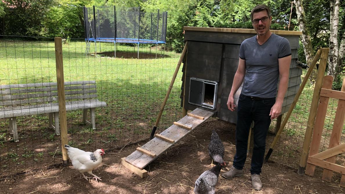 La pénurie du0027œufs a relancé lu0027attrait pour les poules dans lu0027Aube