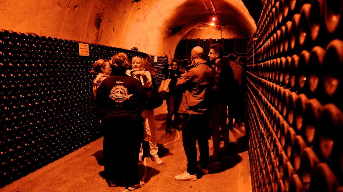 Les Viticulteurs De La Montagne De Reims Ouvrent Leurs Portes Ce Week End Voici Cinq Bonnes