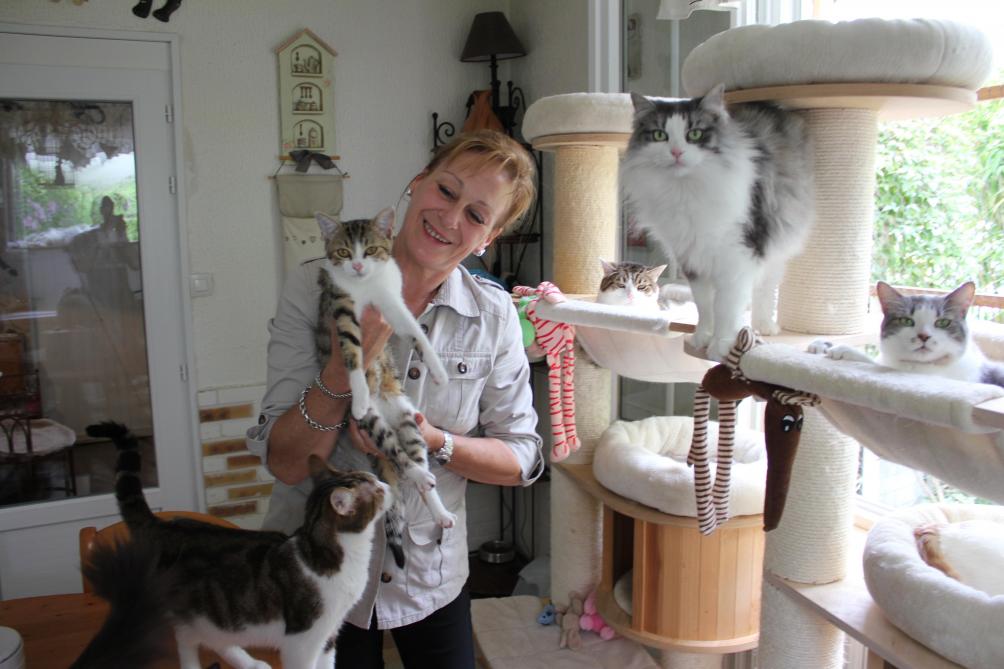 Apres Avoir Recueilli 53 Chats Cette Habitante De Blanzy Pousse Un Coup De Gueule