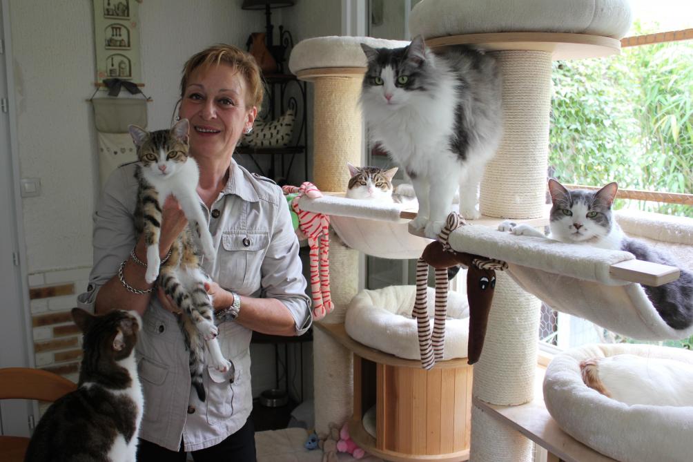 Apres Avoir Recueilli 53 Chats Cette Habitante De Blanzy Pousse Un Coup De Gueule