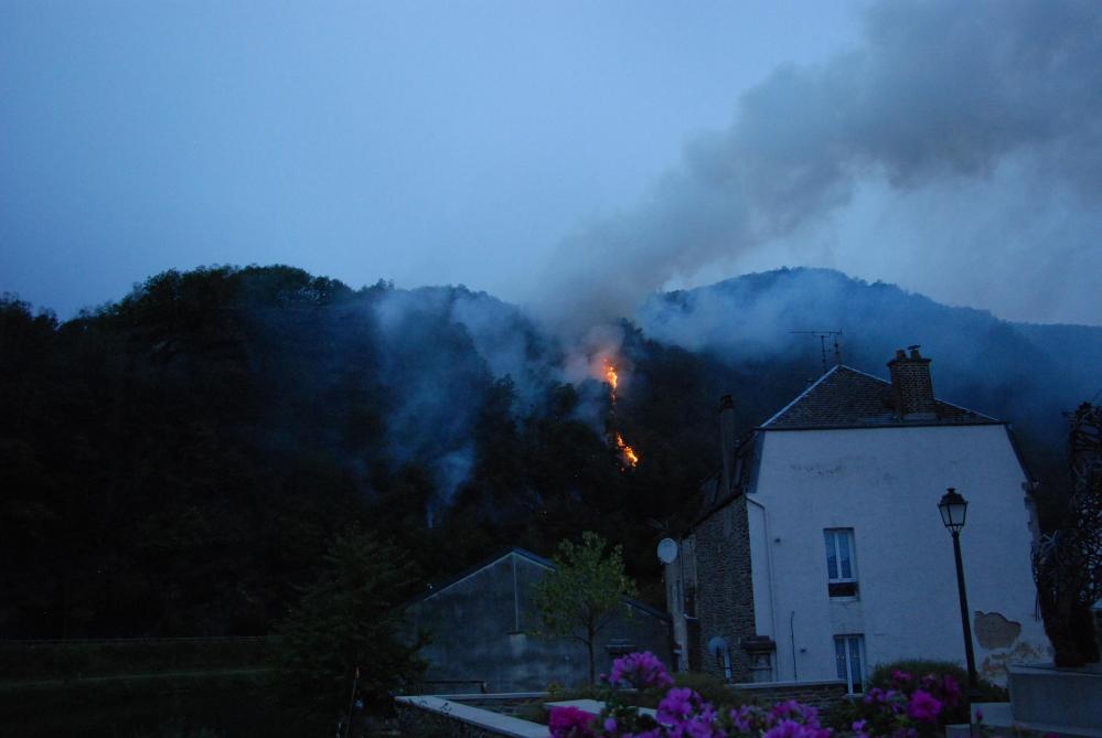 Video Un Violent Incendie Ravage La Foret A Bogny Sur Meuse