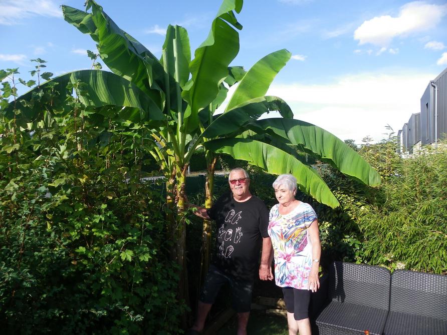 A Charleville Mezieres Un Jardin Secret Exotique