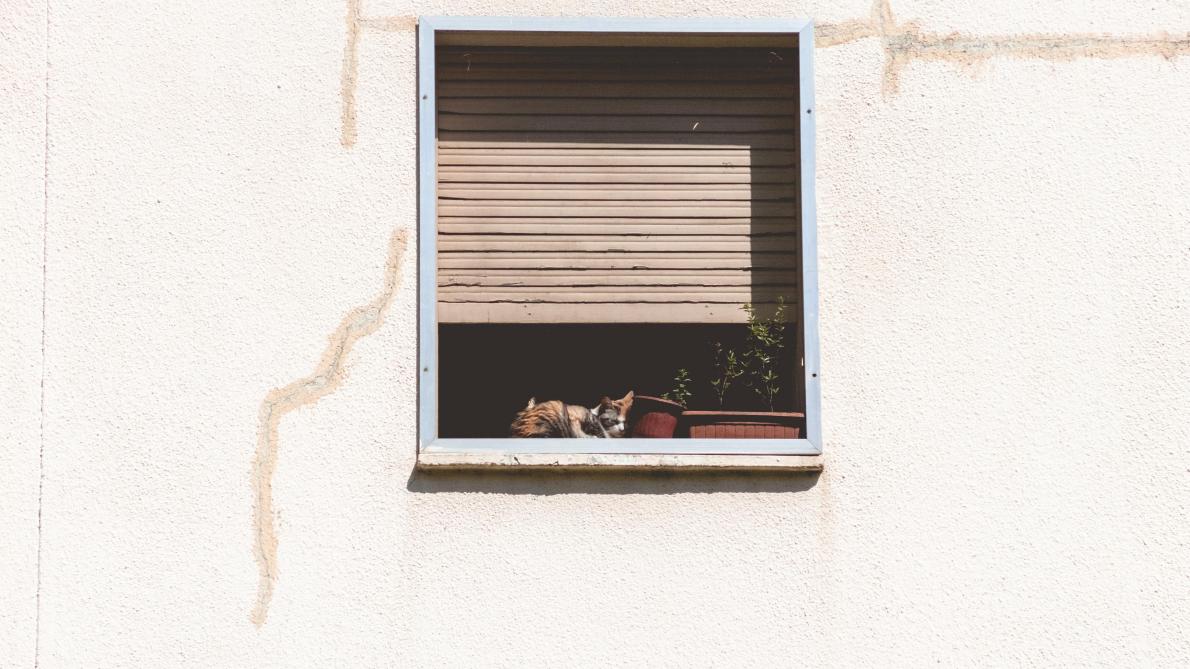 Chine Un Chat Volant Assomme Un Homme En Pleine Rue Chine Un Chat Volant Assomme Un Homme En Pleine Rue