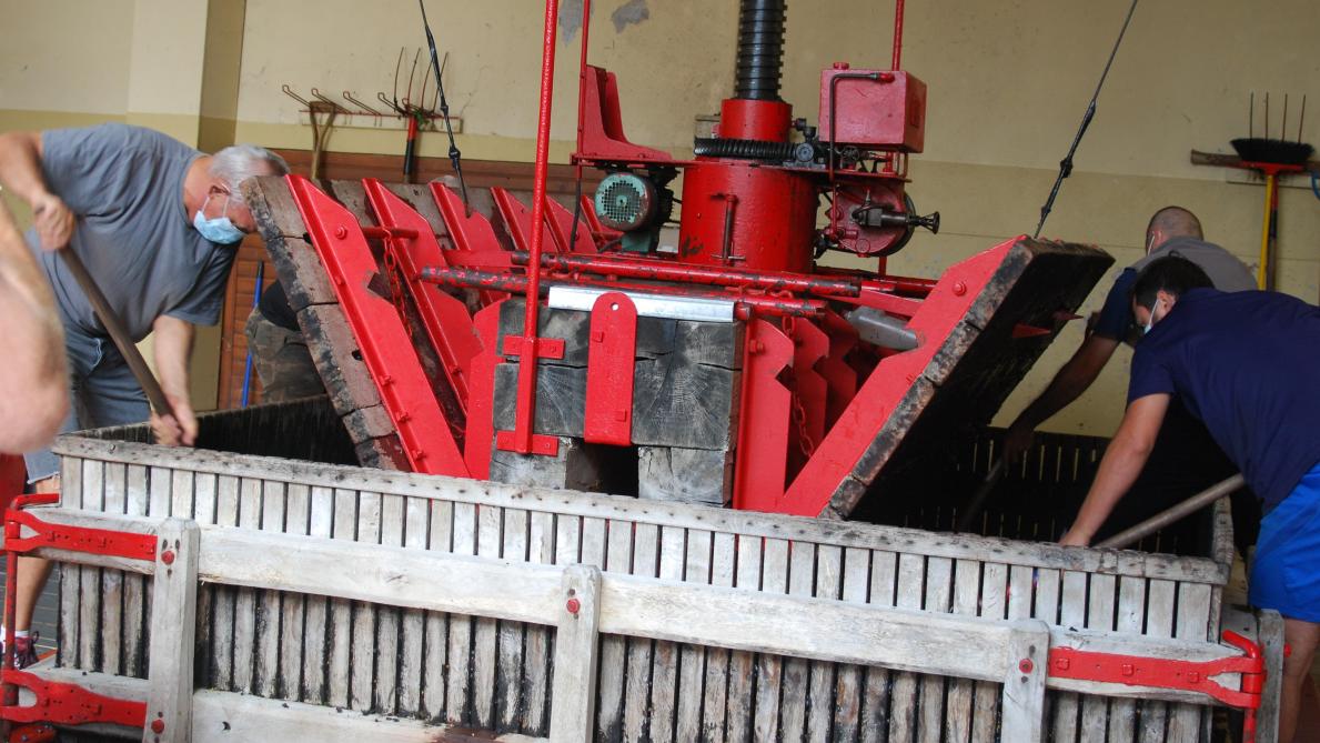 Bergeres Le Plus Ancien Des Pressoirs A L Ouvrage Pendant Les Vendanges