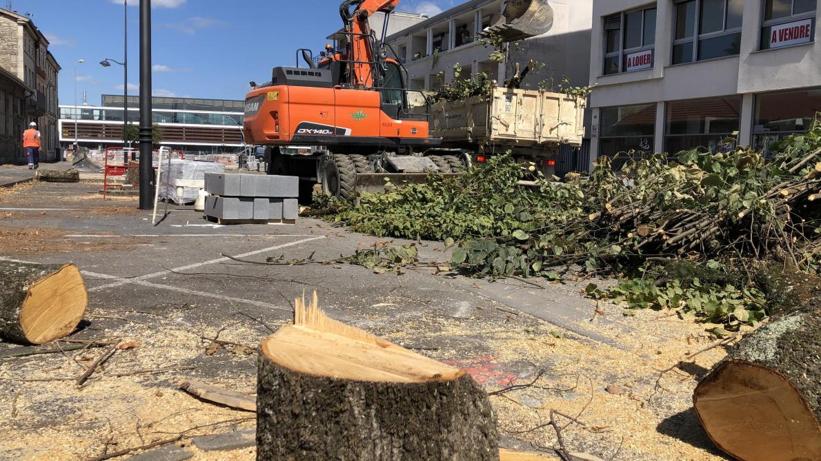 Avis De Tempete Apres L Abattage Des Tilleuls A Saint Dizier
